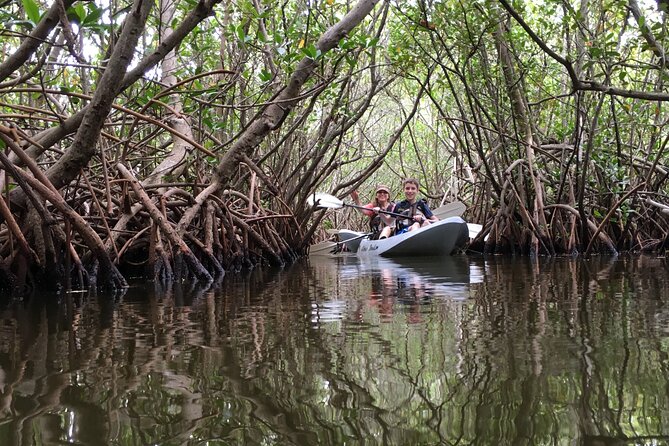Mangrove Tunnels, Dolphins, Manatee Tour #1 Rated in Cocoa Beach - Starting in Cocoa Beach With Basic Kayak Instruction