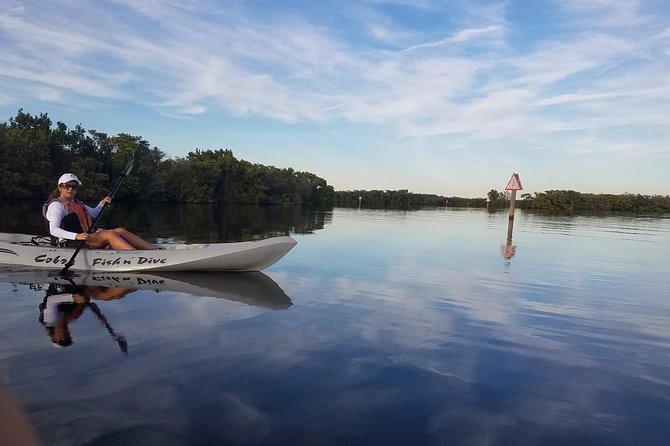 Mangrove Tunnels, Dolphins, Manatee Tour #1 Rated in Cocoa Beach - Looking for Dolphins and Manatees