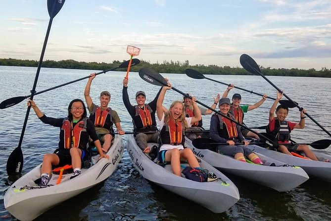 Mangrove Tunnels, Dolphins, Manatee Tour #1 Rated in Cocoa Beach - The Guides Turn Paddling Into a Nature Lesson