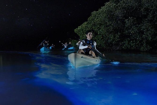 Mangrove Tunnels, Dolphins, Manatee Tour #1 Rated in Cocoa Beach - Is $59 a Fair Price?