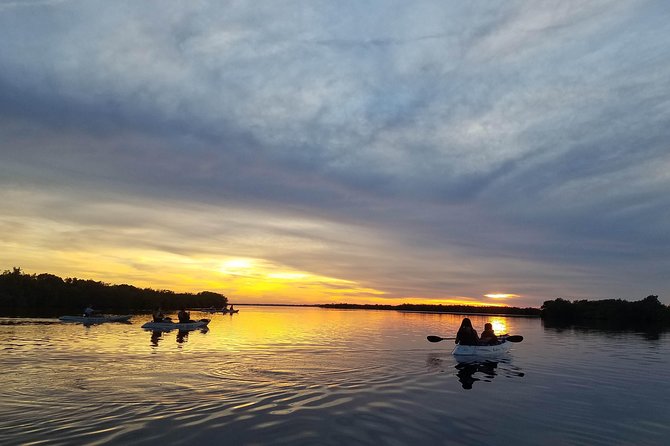 Mangrove Tunnels, Dolphins, Manatee Tour #1 Rated in Cocoa Beach - Paddling Into the Mangrove Maze