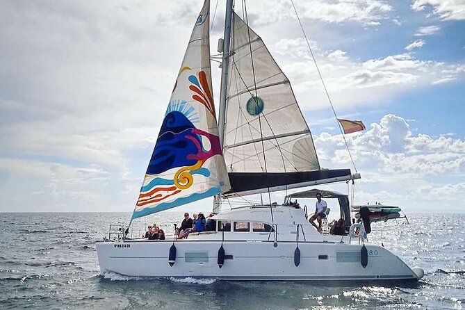 Marbella 2 - hour Catamaran Group Excursion with Dolphin Watching - Watching for dolphins in open water