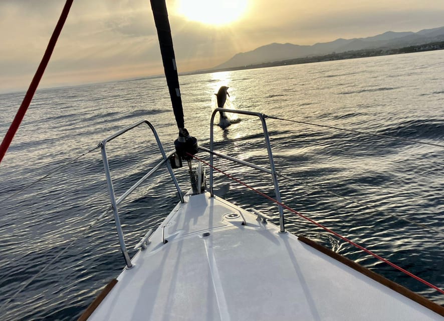 Marbella: Dolphin-Watching Sailboat Trip with Drinks, Snacks - Drinks, fruit, and the small onboard extras