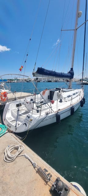 Marbella: Dolphin-Watching Sailboat Trip with Drinks, Snacks - How the two hours usually feel