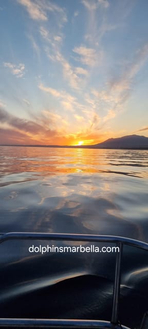 Marbella: Dolphin-Watching Sailboat Trip with Drinks, Snacks - A comfortable sail along Marbella’s coast