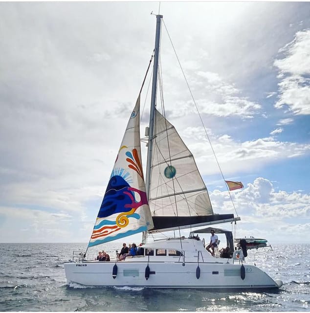 Marbella: Group Dolphin Watching Catamaran Tour with Snacks - Dolphin watching, with realistic expectations