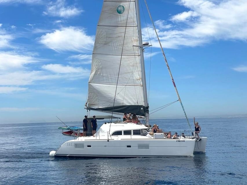 Marbella: Group Dolphin Watching Catamaran Tour with Snacks - Marbella from Puerto José Banús