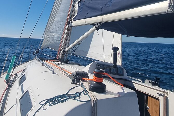 Marbella sailboat rental, dolphins, drinks and snacks - 2 hours - Dolphin watching with realistic expectations