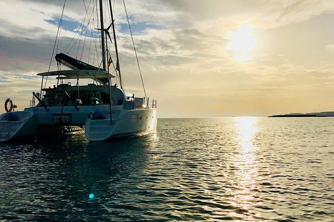 Marbella Small Group Catamaran with Dolphin Watching - Who Will Enjoy This Catamaran Trip?