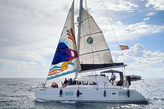Marbella Small Group Catamaran with Dolphin Watching - Watching for Dolphins Along Marbella’s Coast