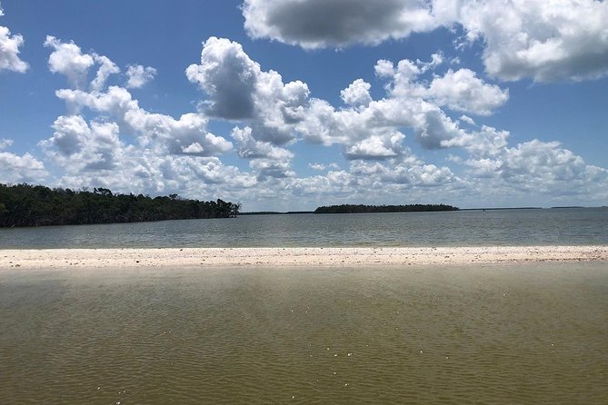 Marco Island 2 hour Dolphin, Birding and Shelling tour - Searching for dolphins and coastal birds