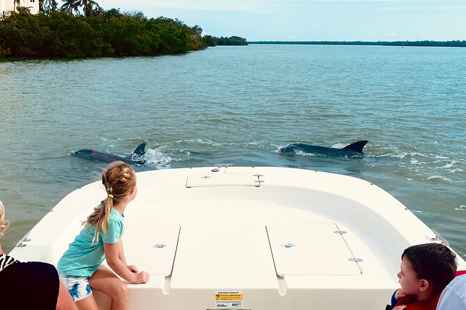 Marco Island and 10,000 Islands Sightseeing with Dolphin Tour - Key points to know before you go