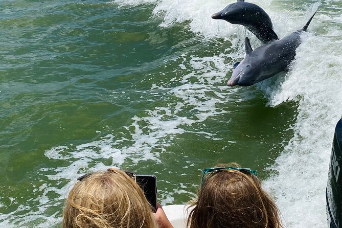 Marco Island and 10,000 Islands Sightseeing with Dolphin Tour - Is $99 a fair price?