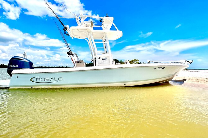 Marco Island Dolphin & Eco Tour – Private 2 Hour Wildlife Cruise - Key points to know before booking