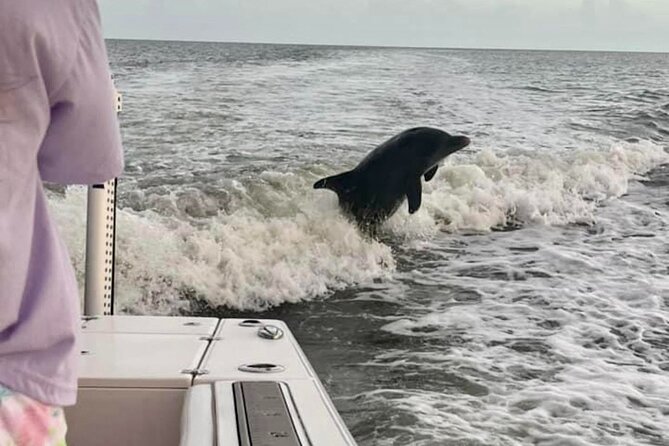 Marco Island Dolphin & Eco Tour – Private 2 Hour Wildlife Cruise - Stopping at a barrier island