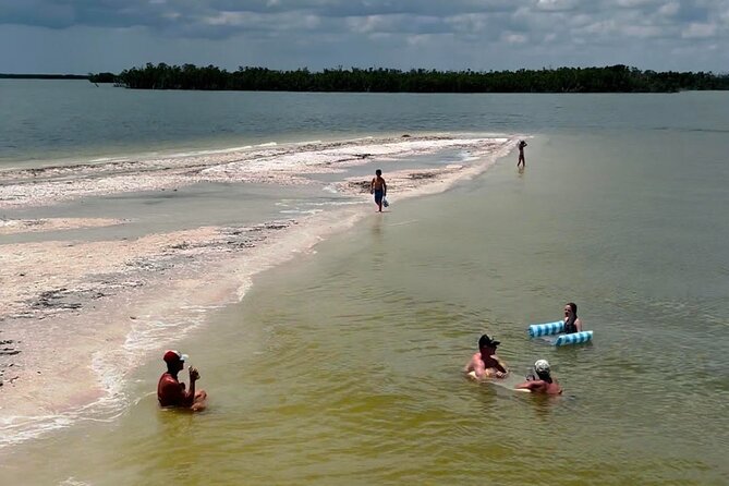 Marco Island Dolphin & Eco Tour – Private 2 Hour Wildlife Cruise - Returning with more than dolphin photos