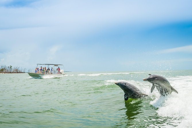 Marco Island Dolphin Sightseeing Tour - Key things to know before you go