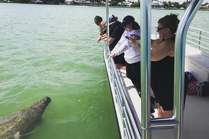 Marco Island Dolphin Sightseeing Tour - Guides make the two hours work