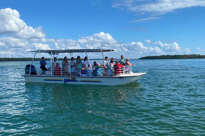 Marco Island Dolphin Sightseeing Tour - Family appeal without a long day on the water