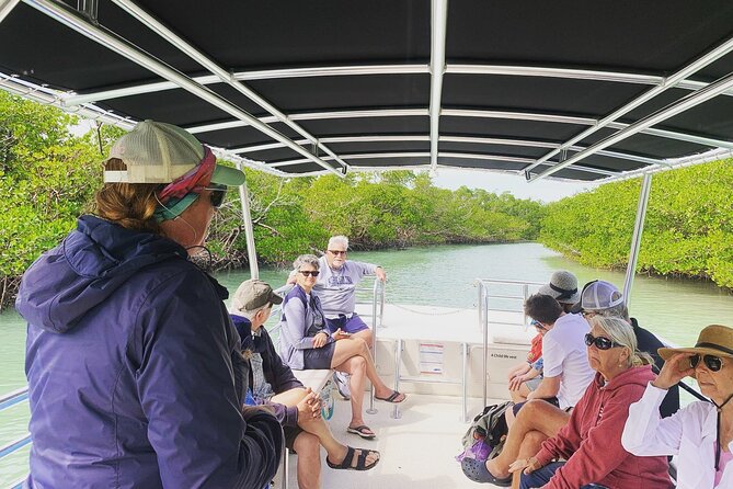 Marco Island Dolphin Sightseeing Tour - What is included, and what affects the value