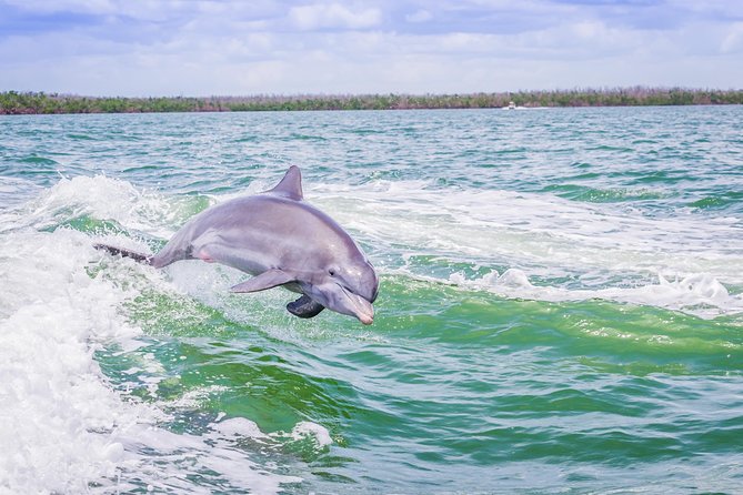 Marco Island Dolphin Sightseeing Tour - Goodland Boating Park is the practical starting point