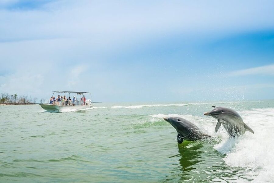 Marco Island: Dolphin-Watching Boat Tour - The first ride reveals Marco Island’s tropical side