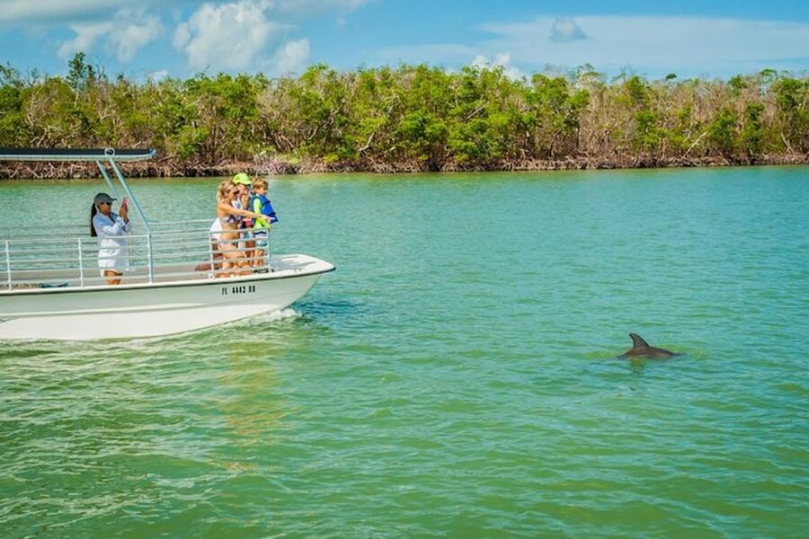 Marco Island: Dolphin-Watching Boat Tour - Is $118 a fair price for two hours?