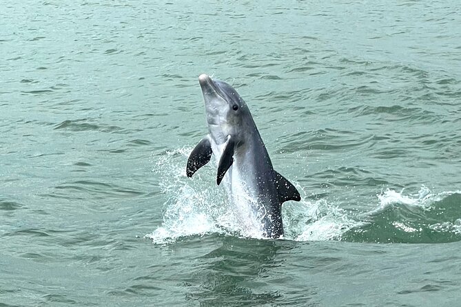 Marco Island Dolphin Watching & Tubing Adventure - Tubing in Calm, Shallow Water