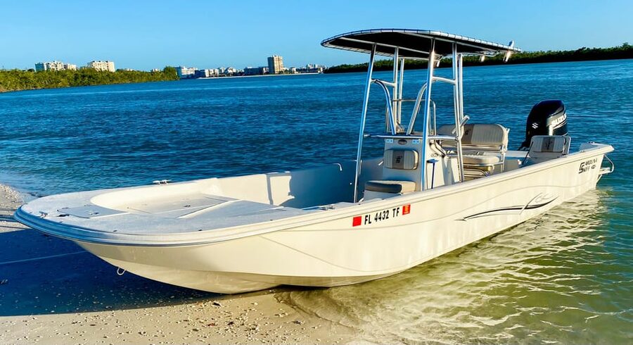 Marco Island: Private Shelling & Dolphin Excursion - At a glance: the details that matter