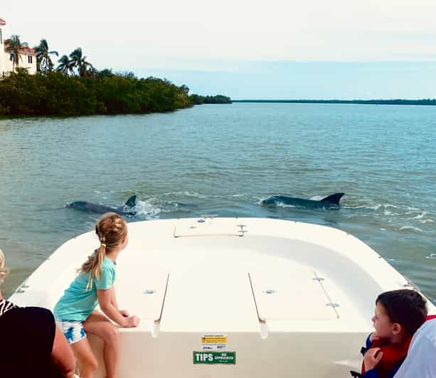 Marco Island: Private Shelling & Dolphin Excursion - A private route through the 10,000 Islands