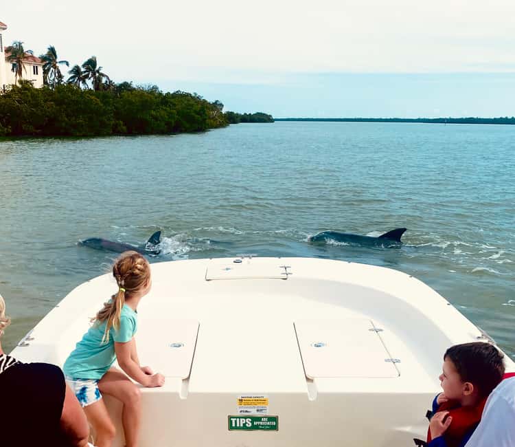 Marco Island: Private Shelling & Dolphin Excursion - Mangrove tunnels, birds, and manatees