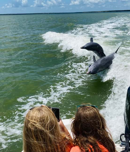 Marco Island: Private Shelling & Dolphin Excursion - Why the private format is worth the price