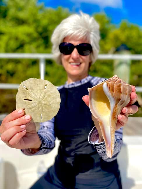 Marco Island: Private Shelling & Dolphin Excursion - What the guides add to the experience