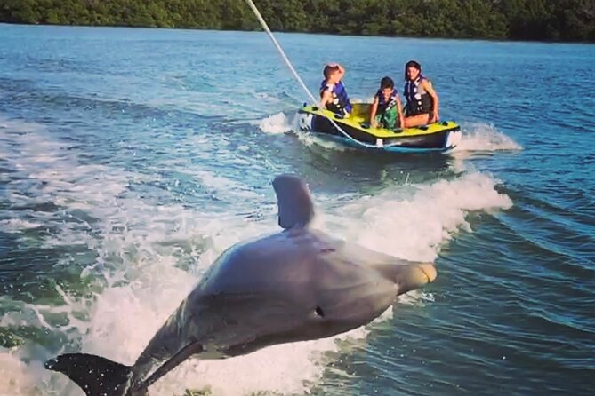 Marco Island Private Tubing, Dolphin Watching and Shelling Tour - At a glance