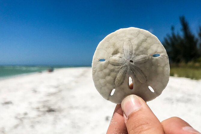 Marco Island Private Tubing, Dolphin Watching and Shelling Tour - Tubing that keeps children busy