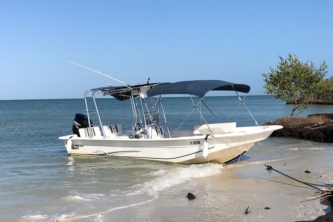 Marco Island Private Tubing, Dolphin Watching and Shelling Tour - What makes the day memorable