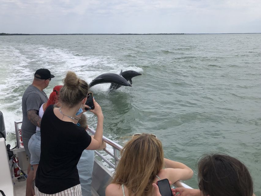 Marco Island: Ten Thousand Islands Shelling & Dolphin Tour - Key points before you book