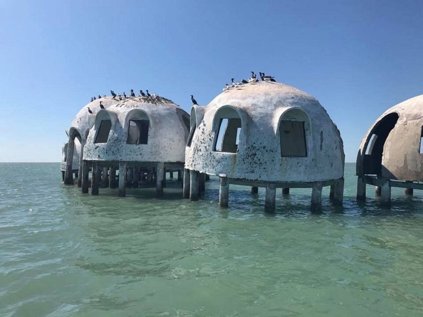Marco Island: Ten Thousand Islands Shelling & Dolphin Tour - What the $159 price really covers