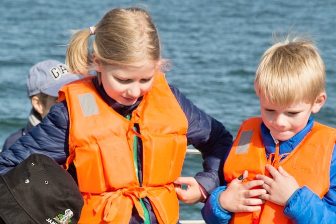 Marine Dolphin Seal Cruise - Dolphins, whales, sunfish, and the luck factor