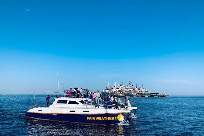 Marine Dolphin Seal Cruise - Who will enjoy this cruise most