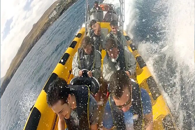 Marine Safari Dolphins in their natural habitat - Searching for dolphins, turtles, and birds