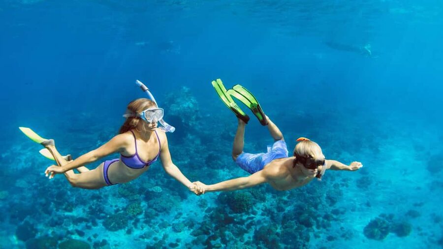 Marsa Alam: Dolphin House Adventure at Shaab Samadai Reef - The first snorkeling session