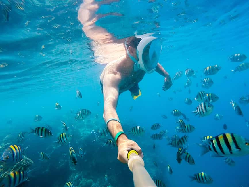 Marsa Alam:Sataya Reefs Dolphin Snorkeling Cruise with Lunch - The Sataya essentials at a glance