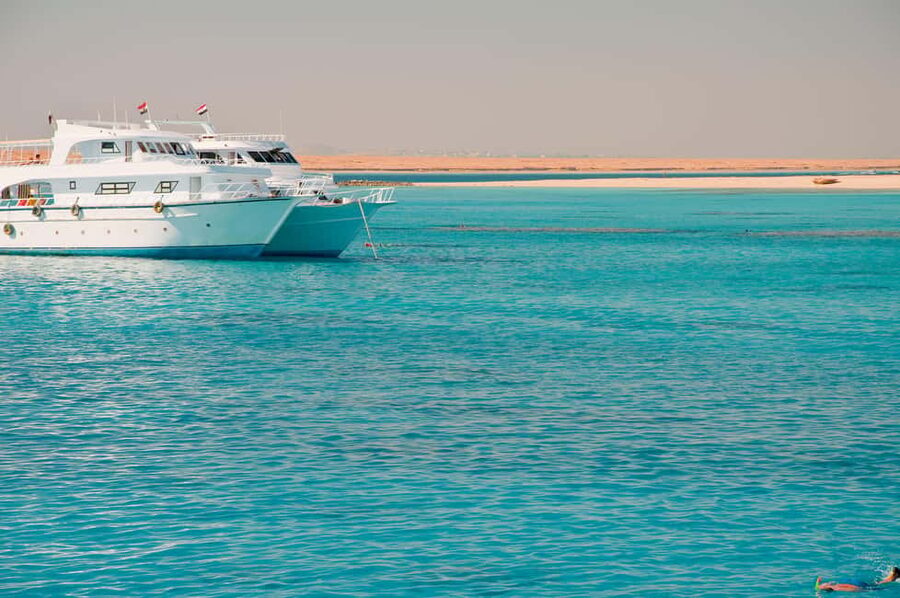 Marsa Alam:Sataya Reefs Dolphin Snorkeling Cruise with Lunch - Who should book this Sataya trip?