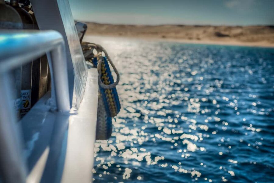 Marsa Alam:Sataya Reefs Dolphin Snorkeling Cruise with Lunch - Lunch, drinks, and time between swims