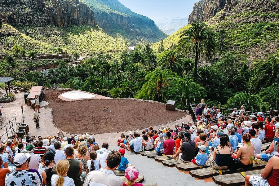 Maspalomas: Palmitos Park Ticket with Dolphin and Bird Shows - Island of Primates and the smaller animals