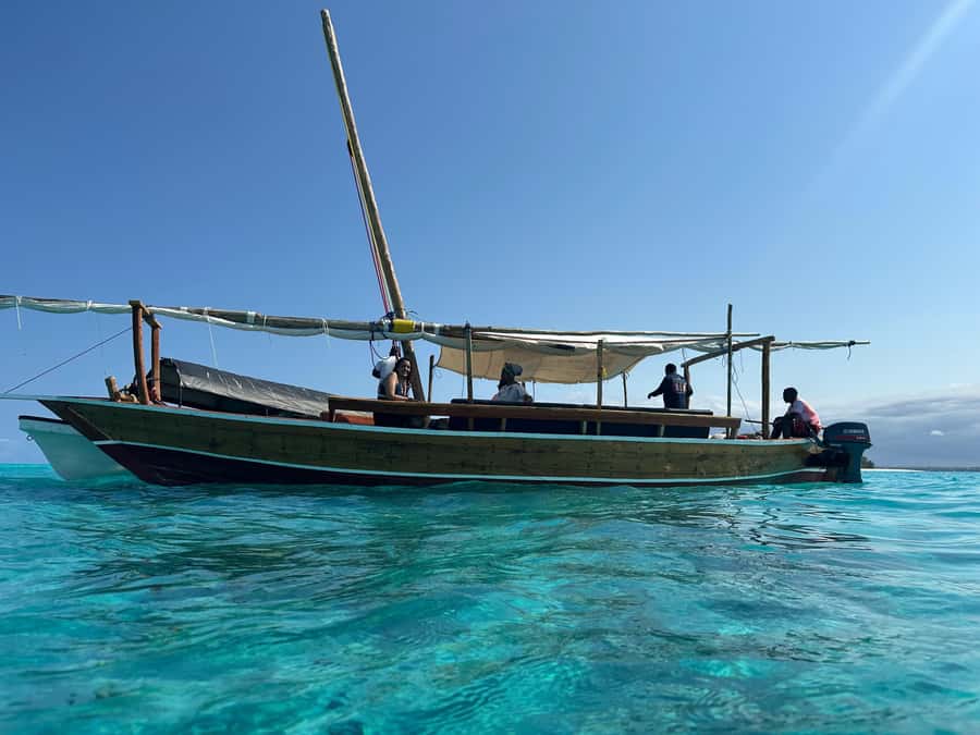 Matemwe: Mnemba Island Dolphin & Snorkeling Boat Trip - Key points before you book