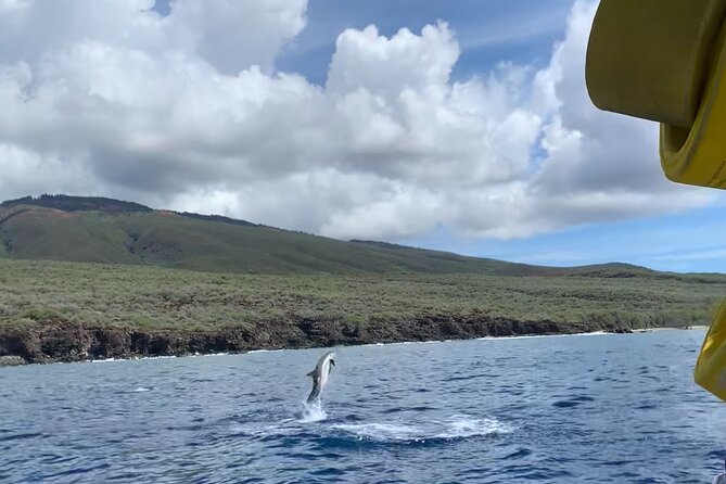 Maui Eco-Raft: 2 Hour Dolphin Watch Sightsee Tour (Semi-Private) - Booking timing, weather, and cancellation details