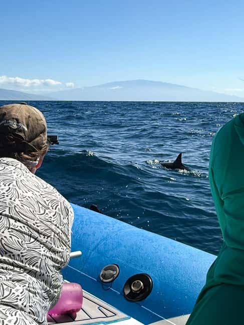Maui: Eco-Raft Dolphin Watch Tour with Snacks - Key Points At A Glance