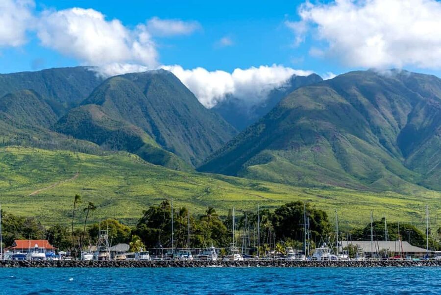 Maui: Eco-Raft Dolphin Watch Tour with Snacks - Snacks That Make The Two Hours Easier